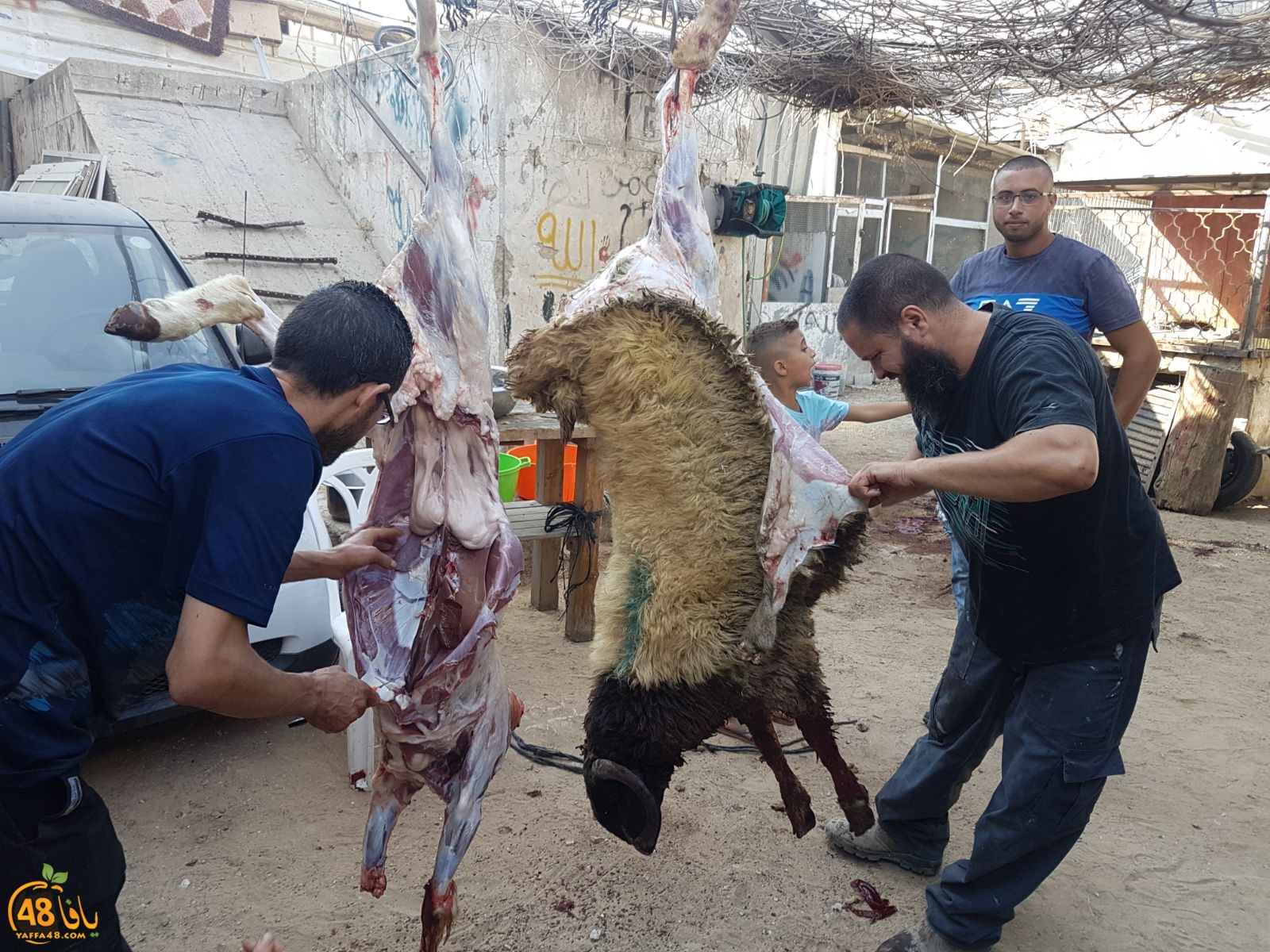 dab7 ada7y wu3ed (1).jpg